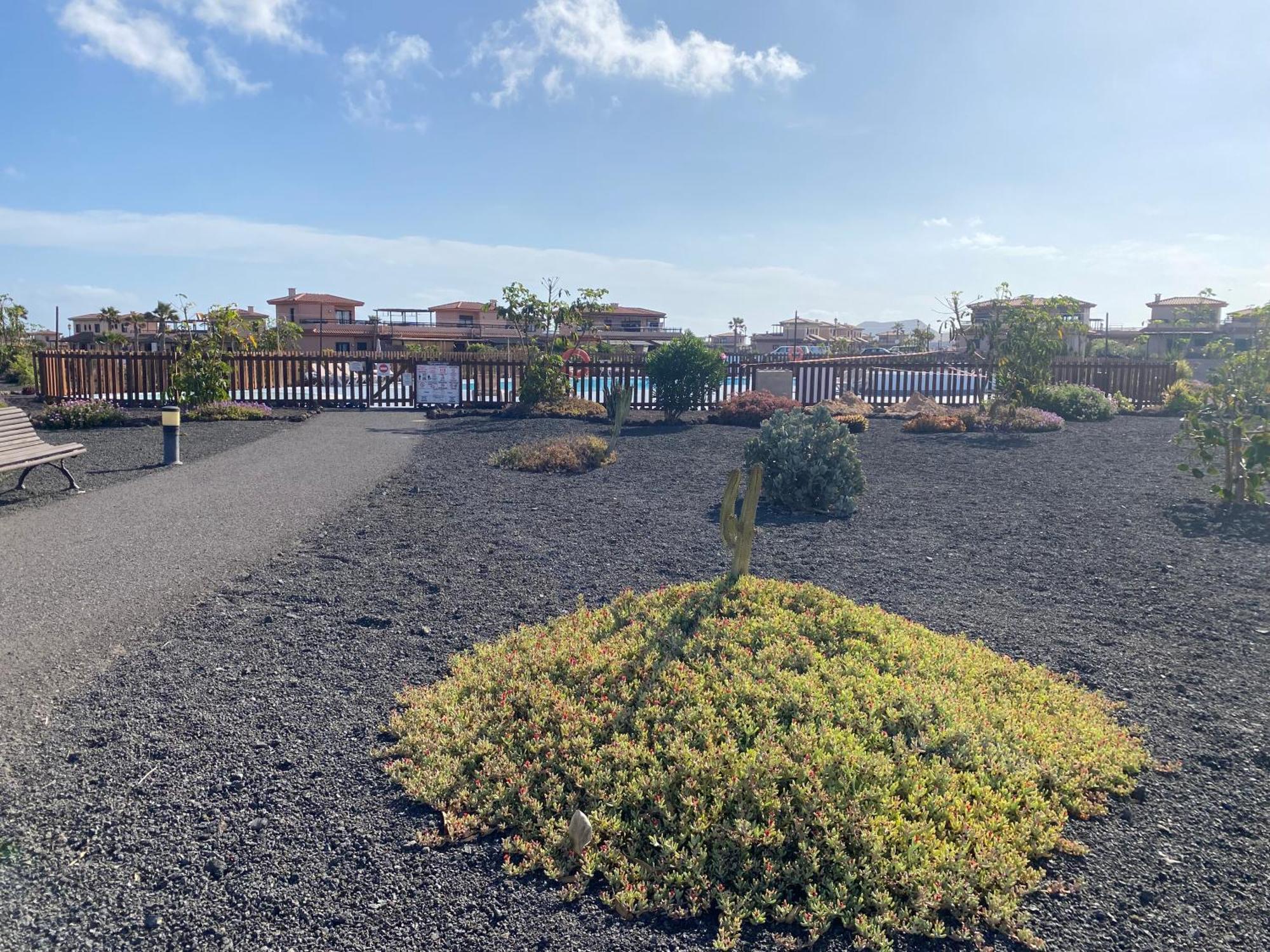 ラハレスEl Hierro Houseアパートメント エクステリア 写真